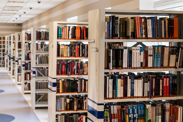 study after school in a library