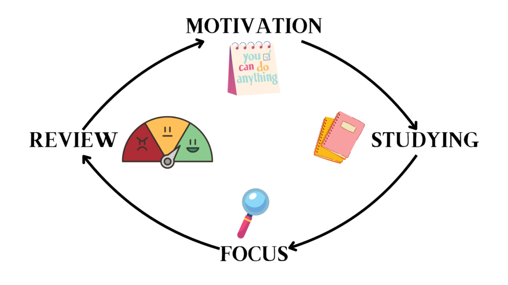 study playground cycle